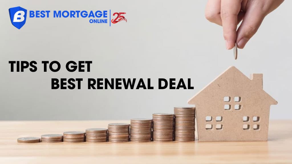 Get the Best Renewal Deal